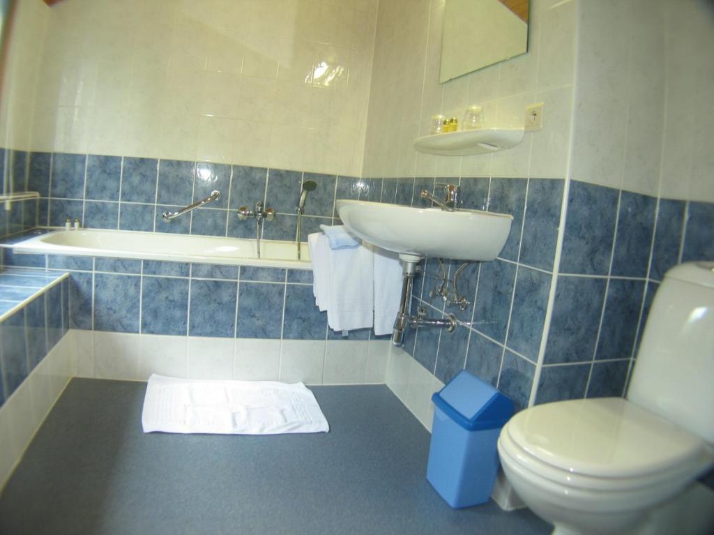 Hotel Aux Massotais Petites Tailles Habitación foto