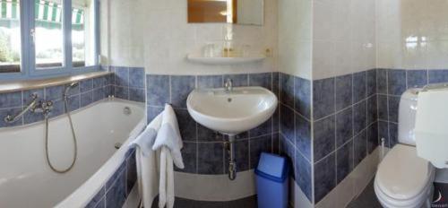 Hotel Aux Massotais Petites Tailles Habitación foto